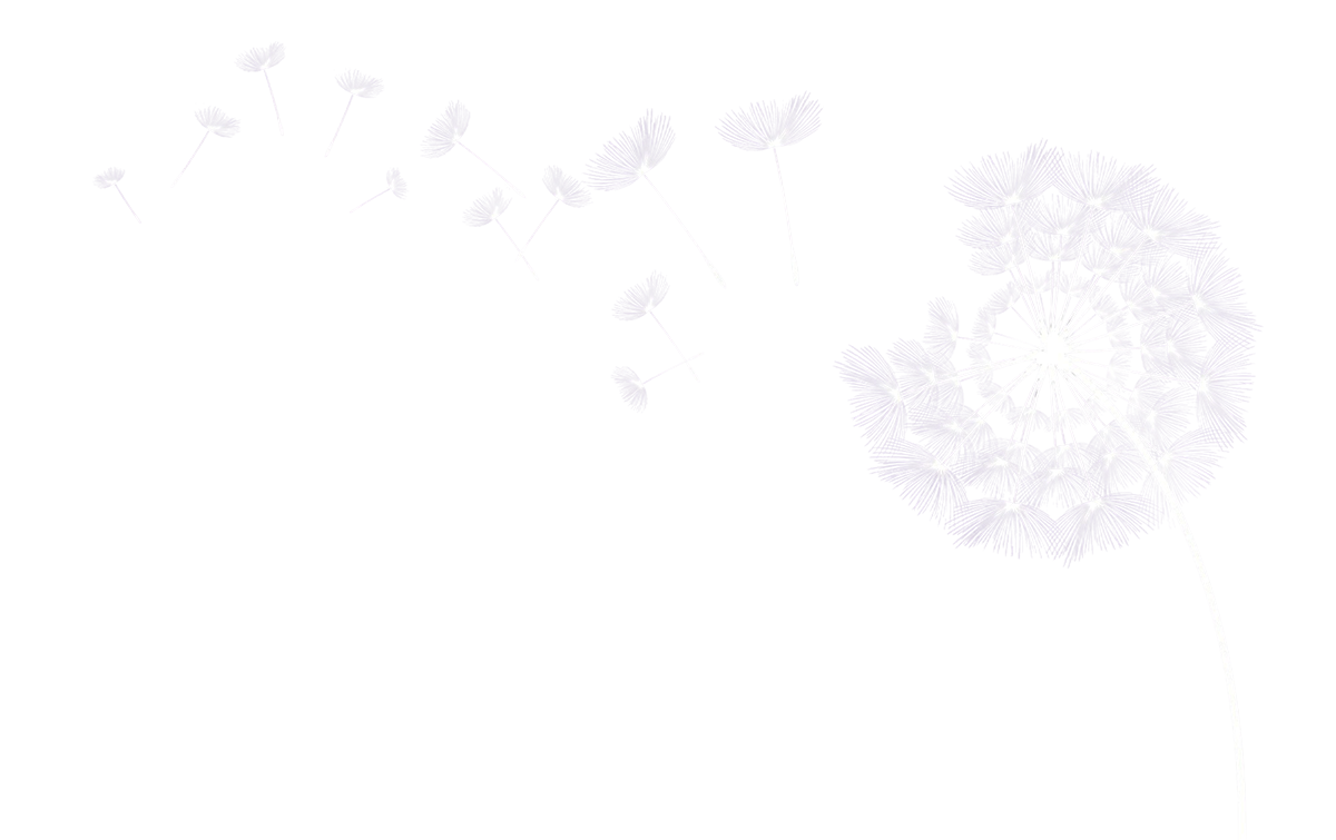 Pusteblume als Trauersymbol – freier Abschied ohne kirchliche Bindung